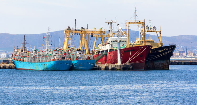 the-scale-of-industrial-fishing-the-global-fishing-watch-report